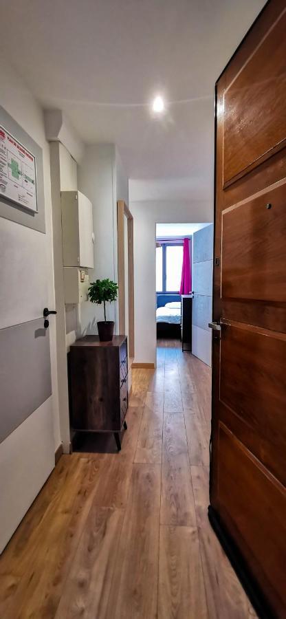Le Coquet - Gare - Hyper Centre - Parking - Wifi - Netflix - Disney+ Annecy Kültér fotó